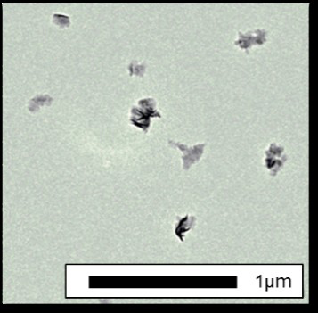 DIC-MoS<sub>2</sub>のTEMによる分布観察