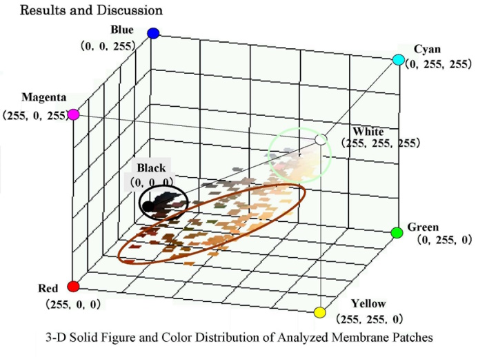 RGB値を3Dグラフにプロット*10